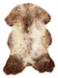NQ00095