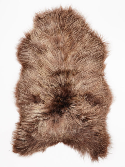 OX00065