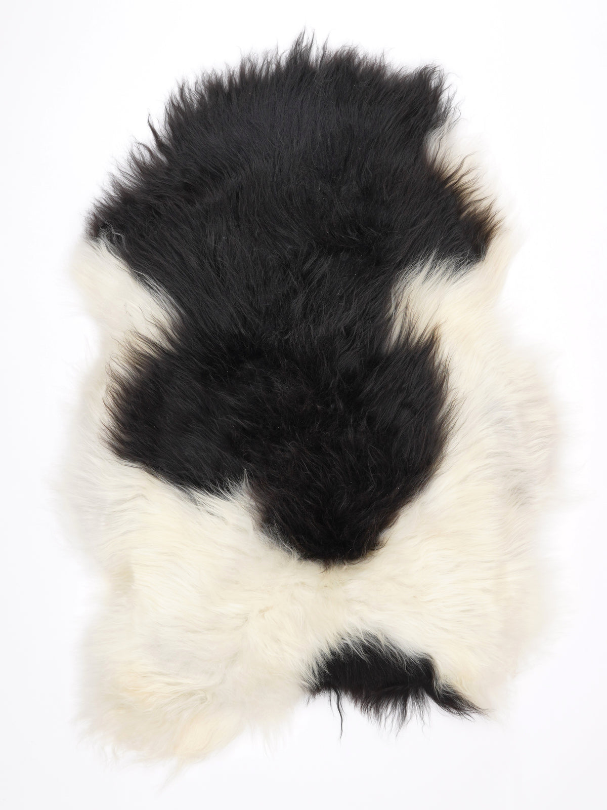 MU00013