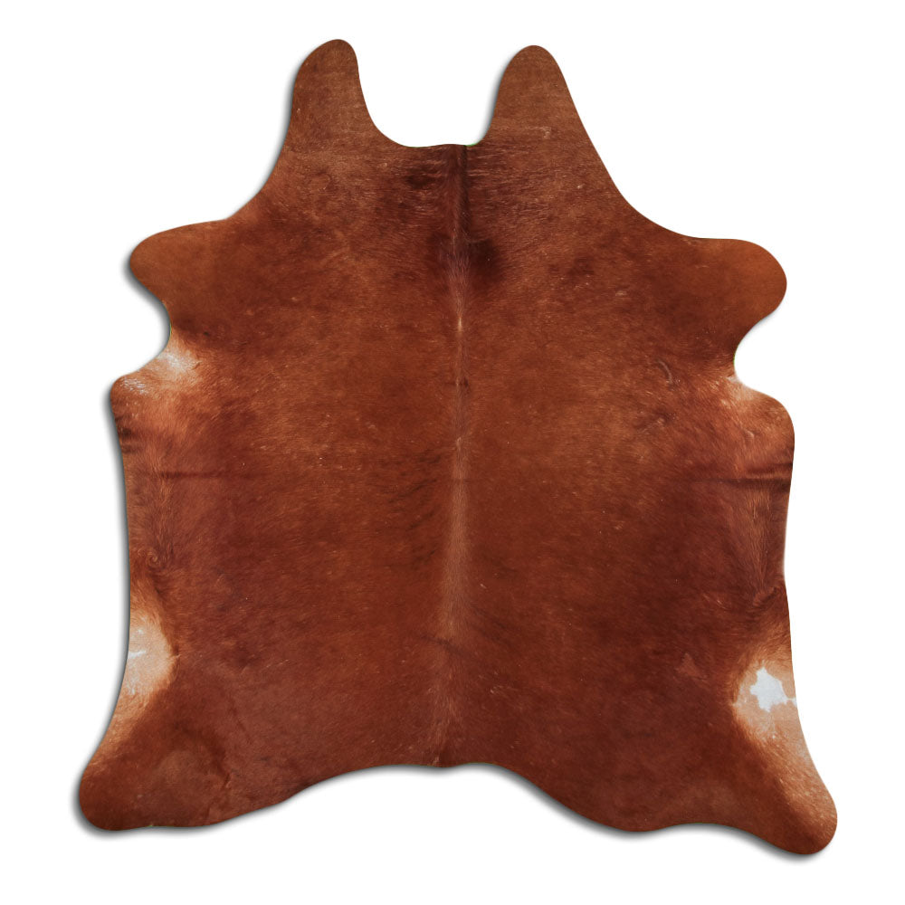 Brown Cowhide Rug L