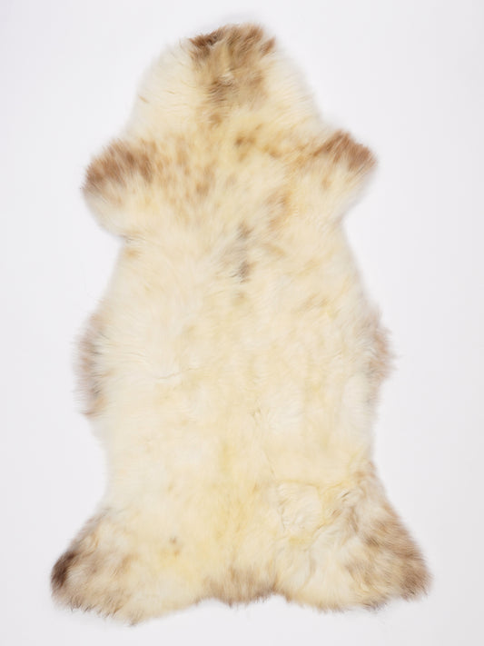 NR00078