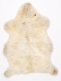 MM00019