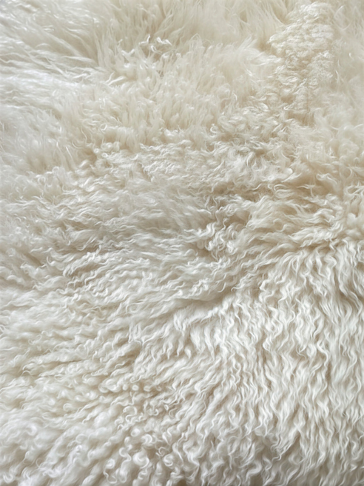 Close-up of the tight white curls of the sheepskin